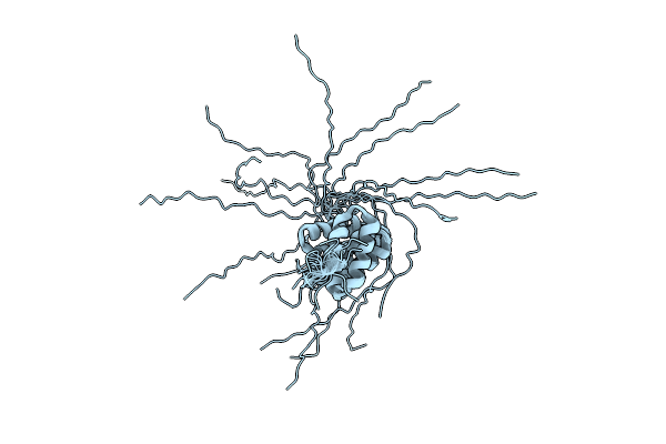 2DBA image