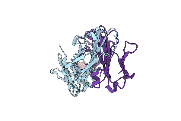 2DBL image