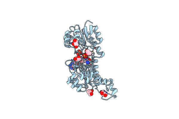 2DBQ image