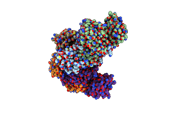 2DBR image