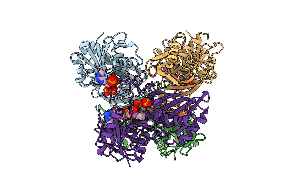 2DBV image