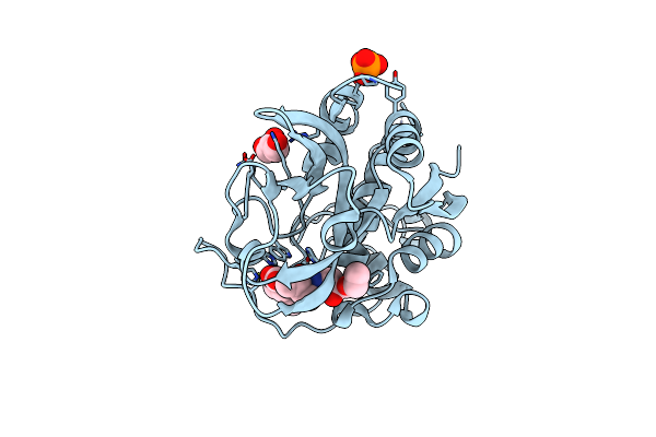 2DCB image