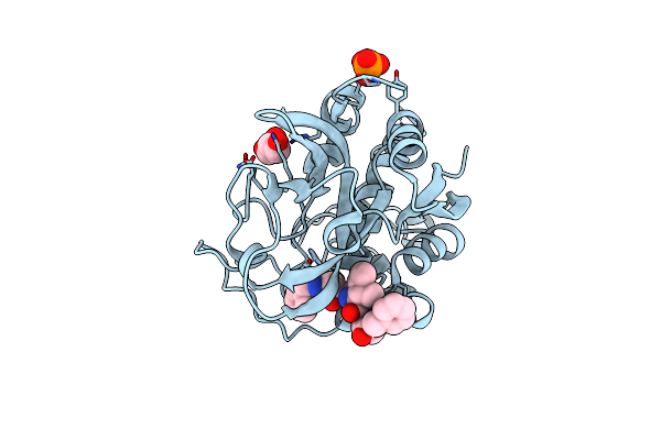 2DCC image