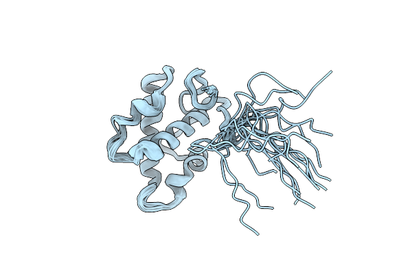 2DCE image