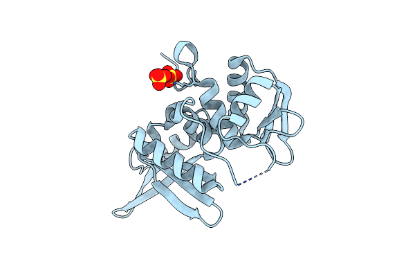 2DCH image