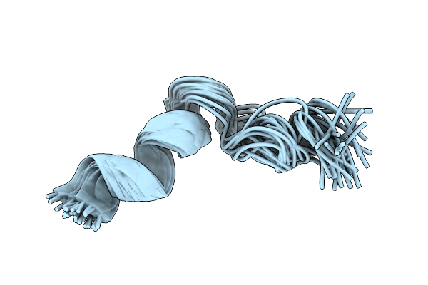 2DCI image