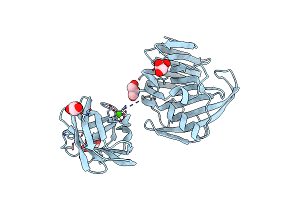 2DCK image