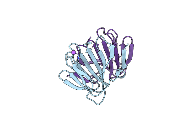 2DCT image