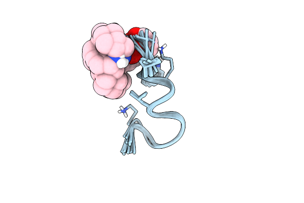 2DCX image