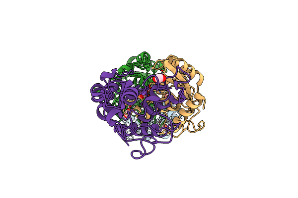 2DDA image