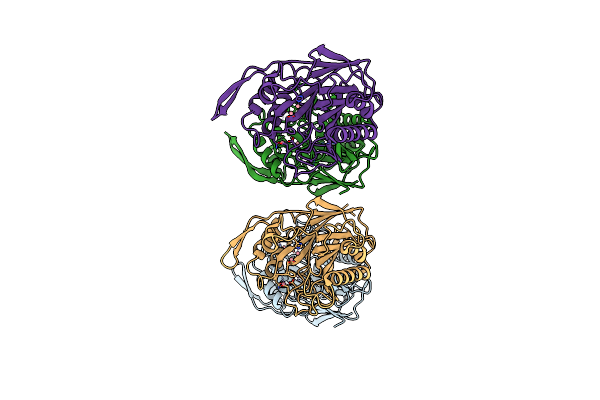 2DDS image