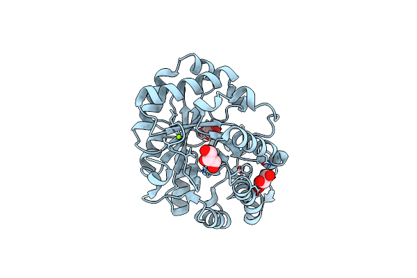 2DDX image