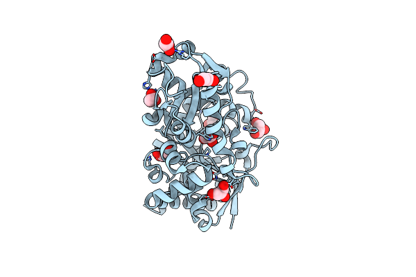2DE2 image