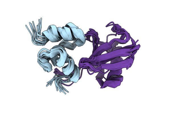 2DEN image