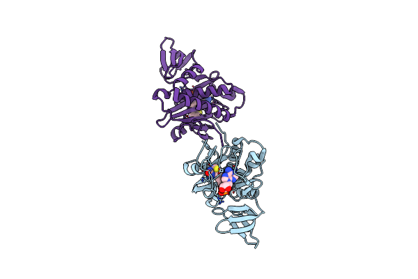 2DEQ image