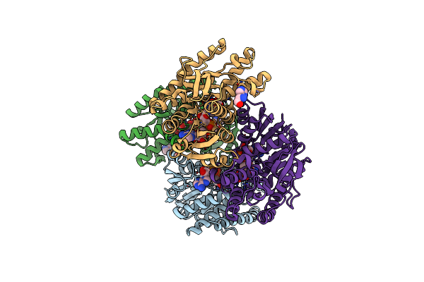 2DFD image