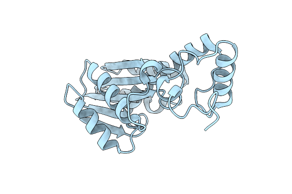 2DFE image