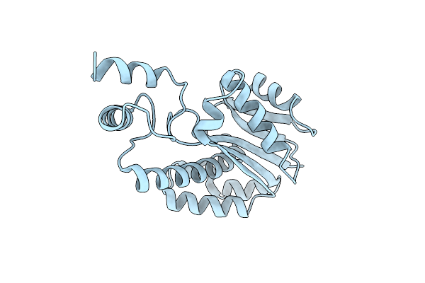 2DFF image