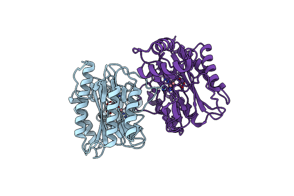 2DFI image