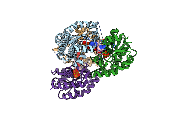 2DFT image