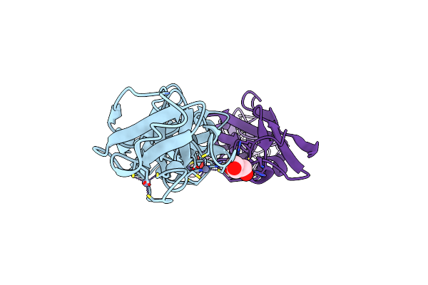 2DFY image