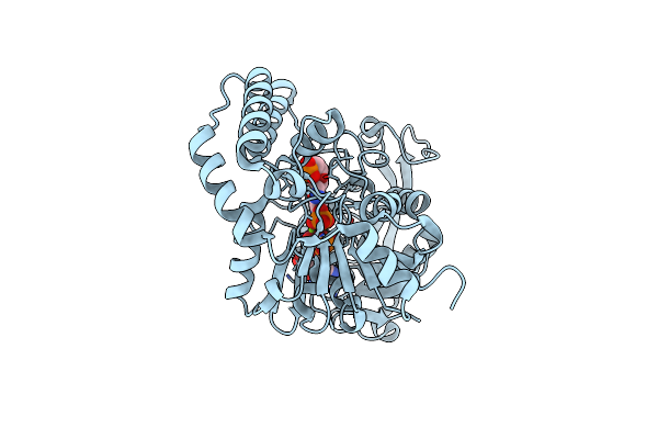 2DGN image