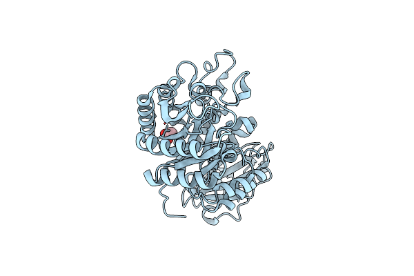 2DH2 image
