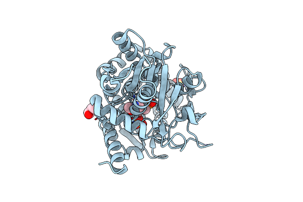 2DH5 image