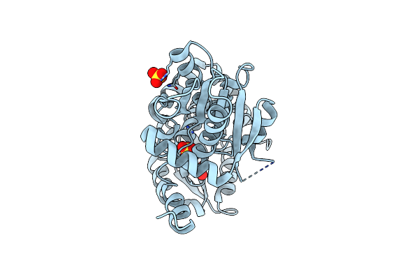2DH6 image