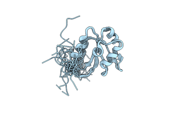 2DHA image