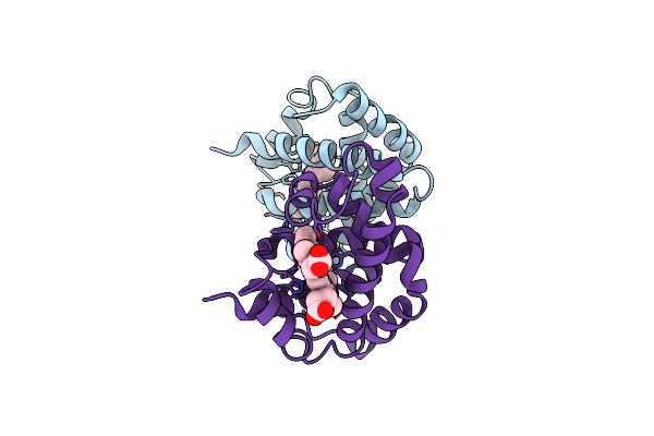 2DHB image