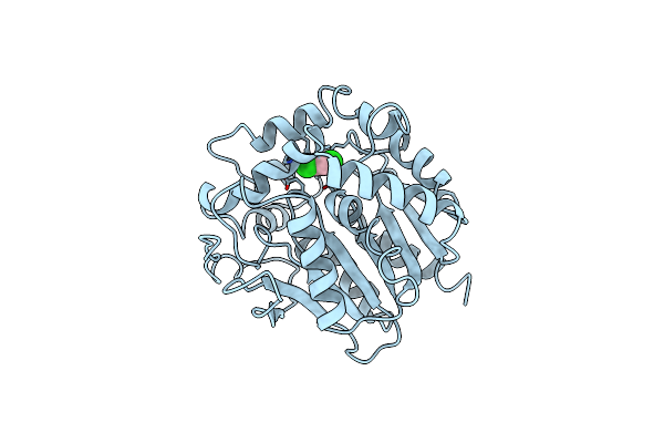 2DHC image