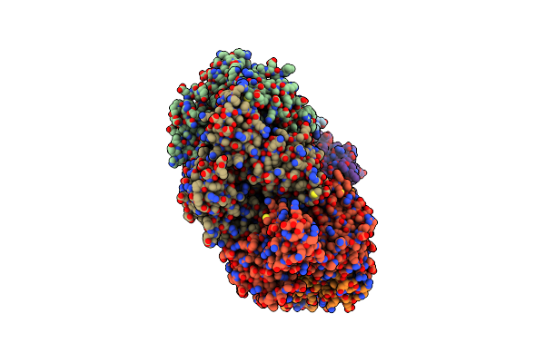 2DHR image