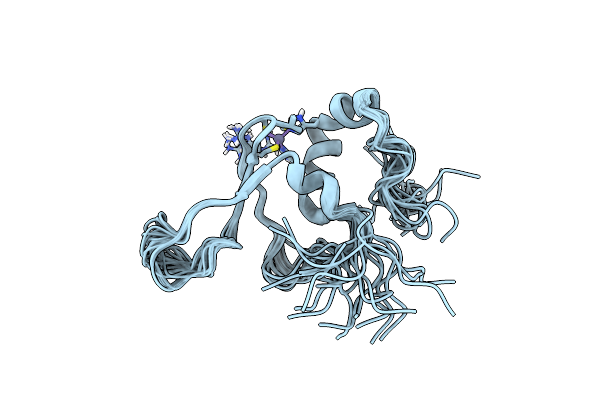2DJR image