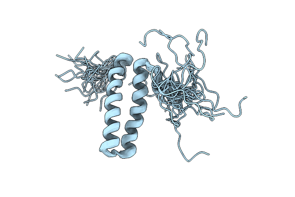 2DJV image