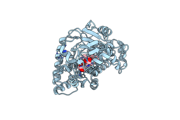 2DKK image
