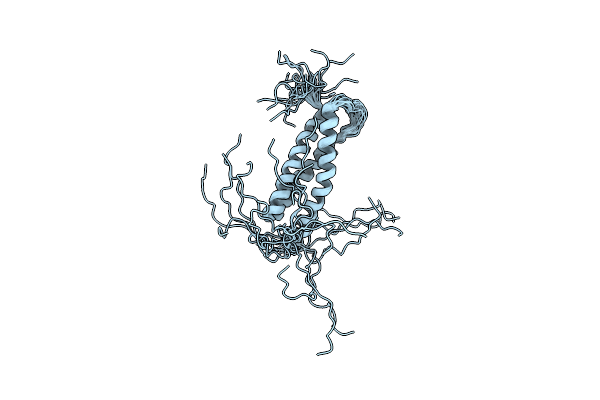 2DL1 image