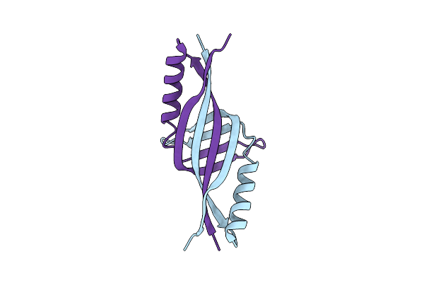 2DLB image