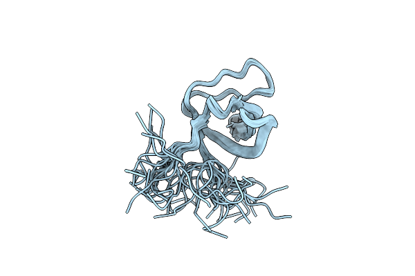 2DLM image