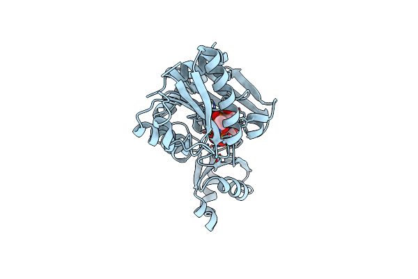 2DLN image