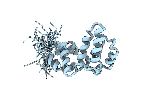 2DLV image