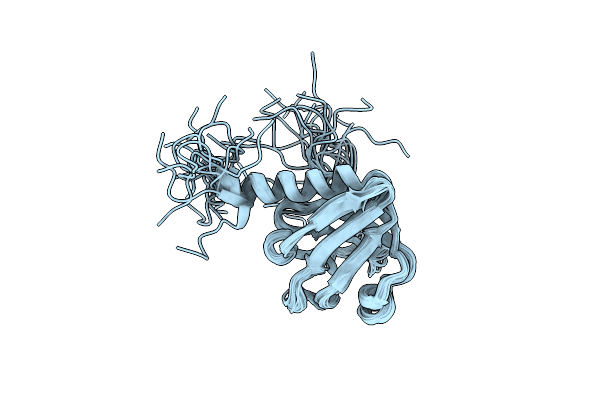 2DLW image