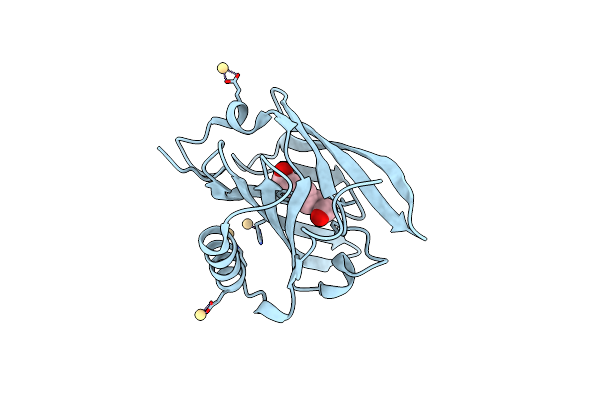 2DM5 image
