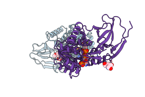 2DM6 image