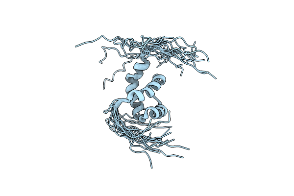 2DMN image