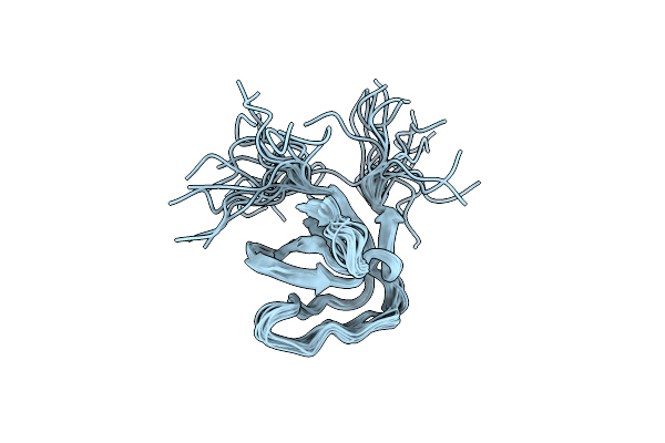 2DMO image