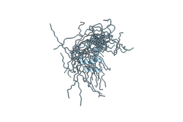 2DMP image