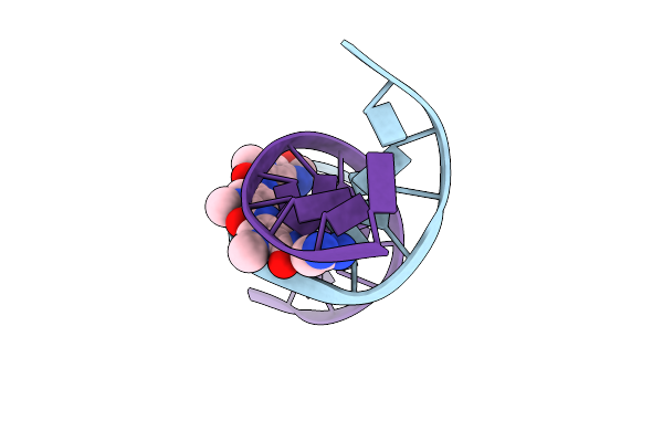 2DND image