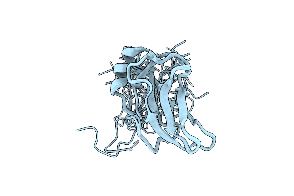 2DNE image