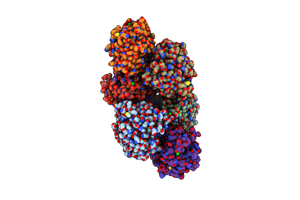 2DNS image